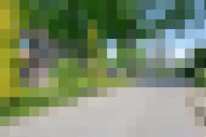Julianalaan 25 Vorden thumbnail 6