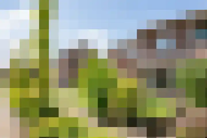 Julianalaan 25 Vorden thumbnail 7