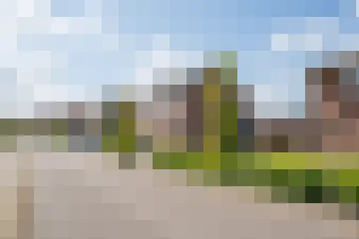 Julianalaan 25 Vorden thumbnail 8