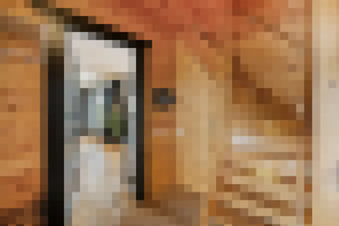 Julianalaan 25 Wernhout thumbnail 10