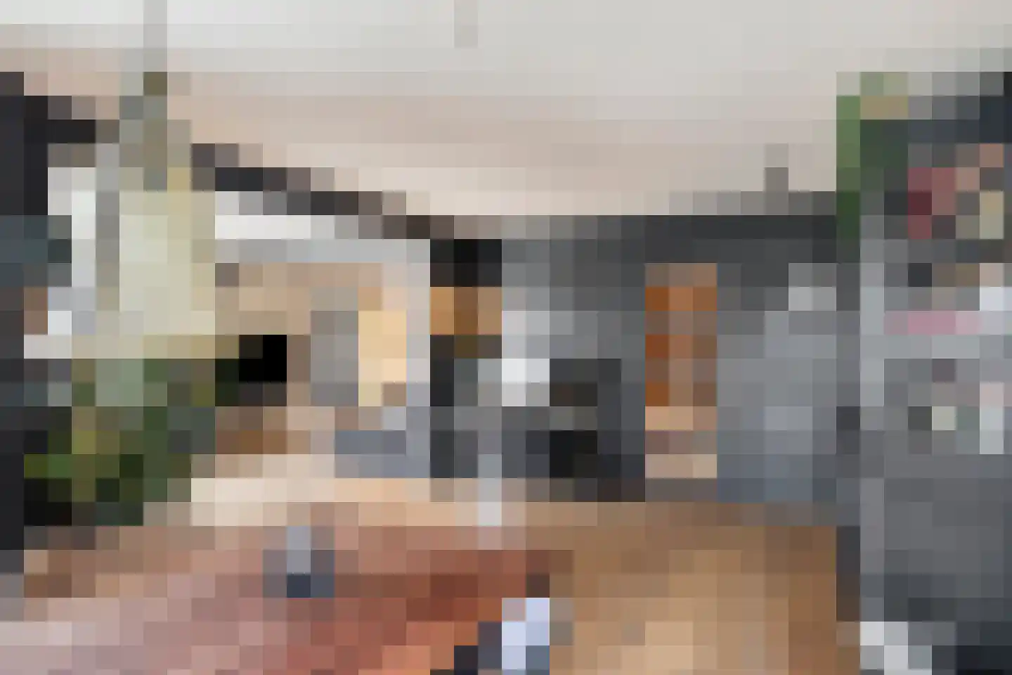 Julianalaan 25 Wernhout thumbnail 23