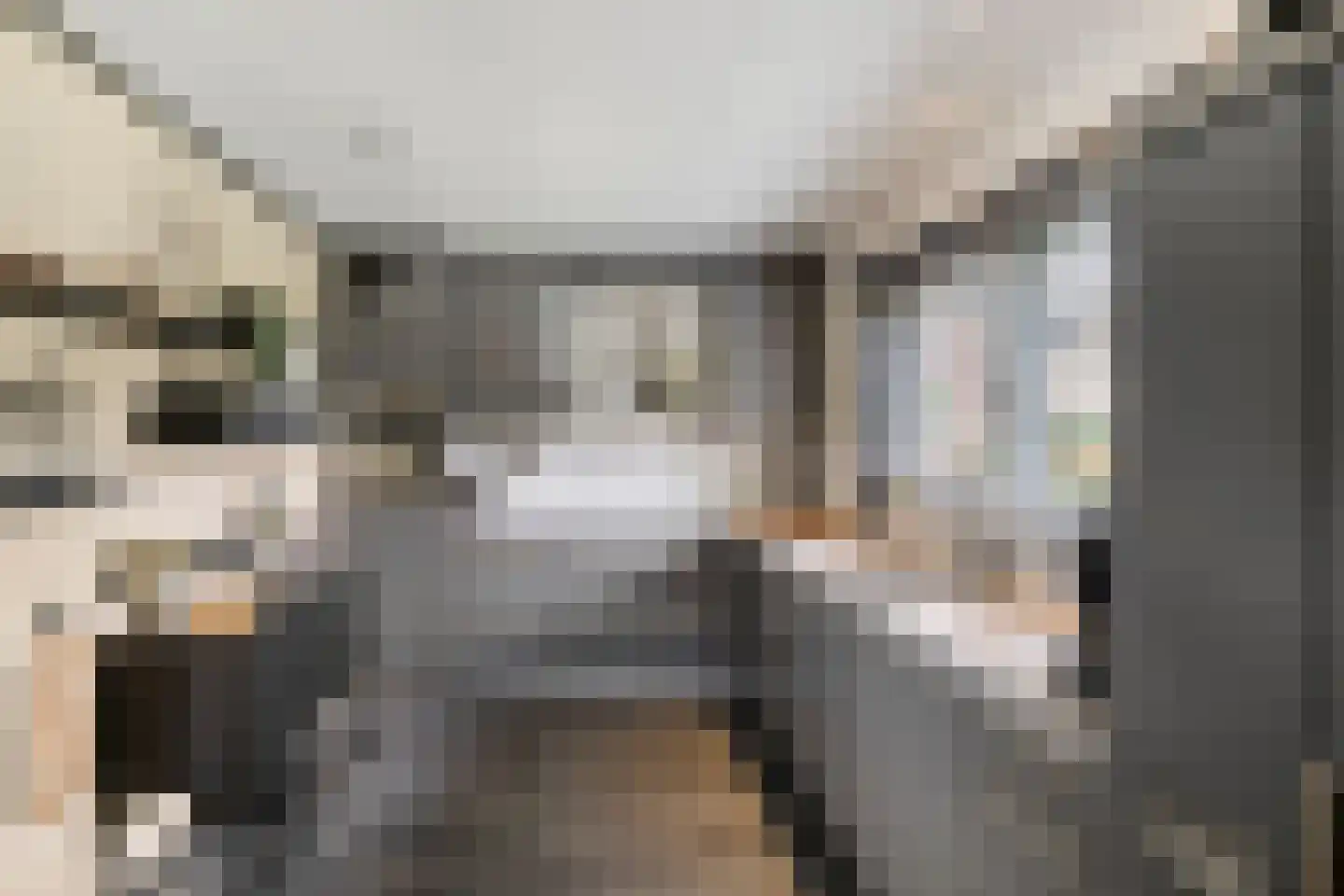 Julianalaan 25 Wernhout thumbnail 25