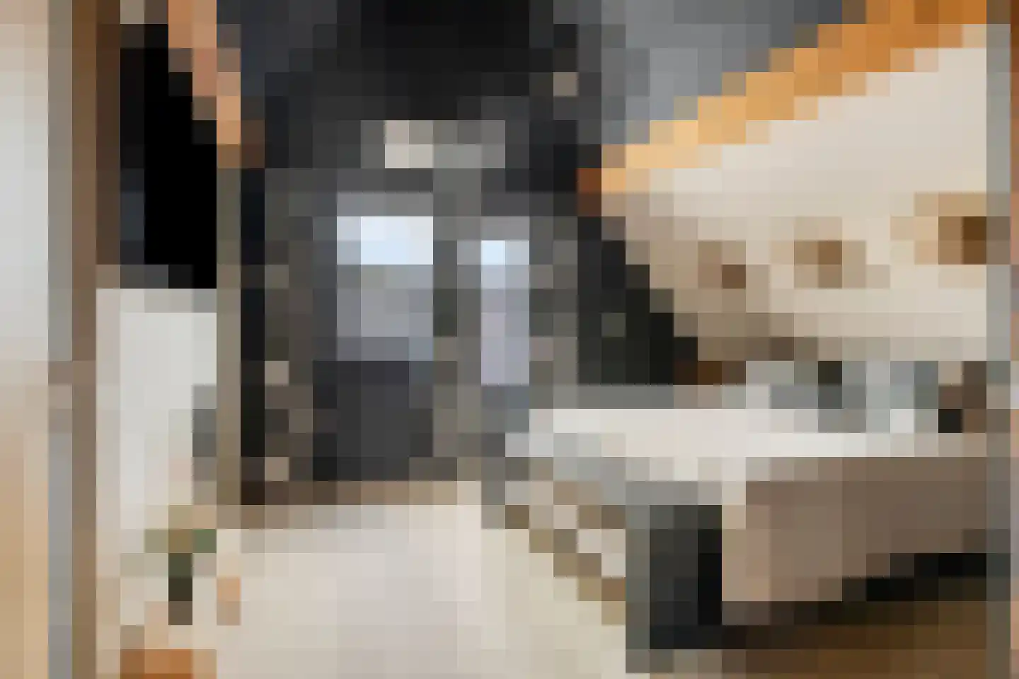 Julianalaan 25 Wernhout thumbnail 36