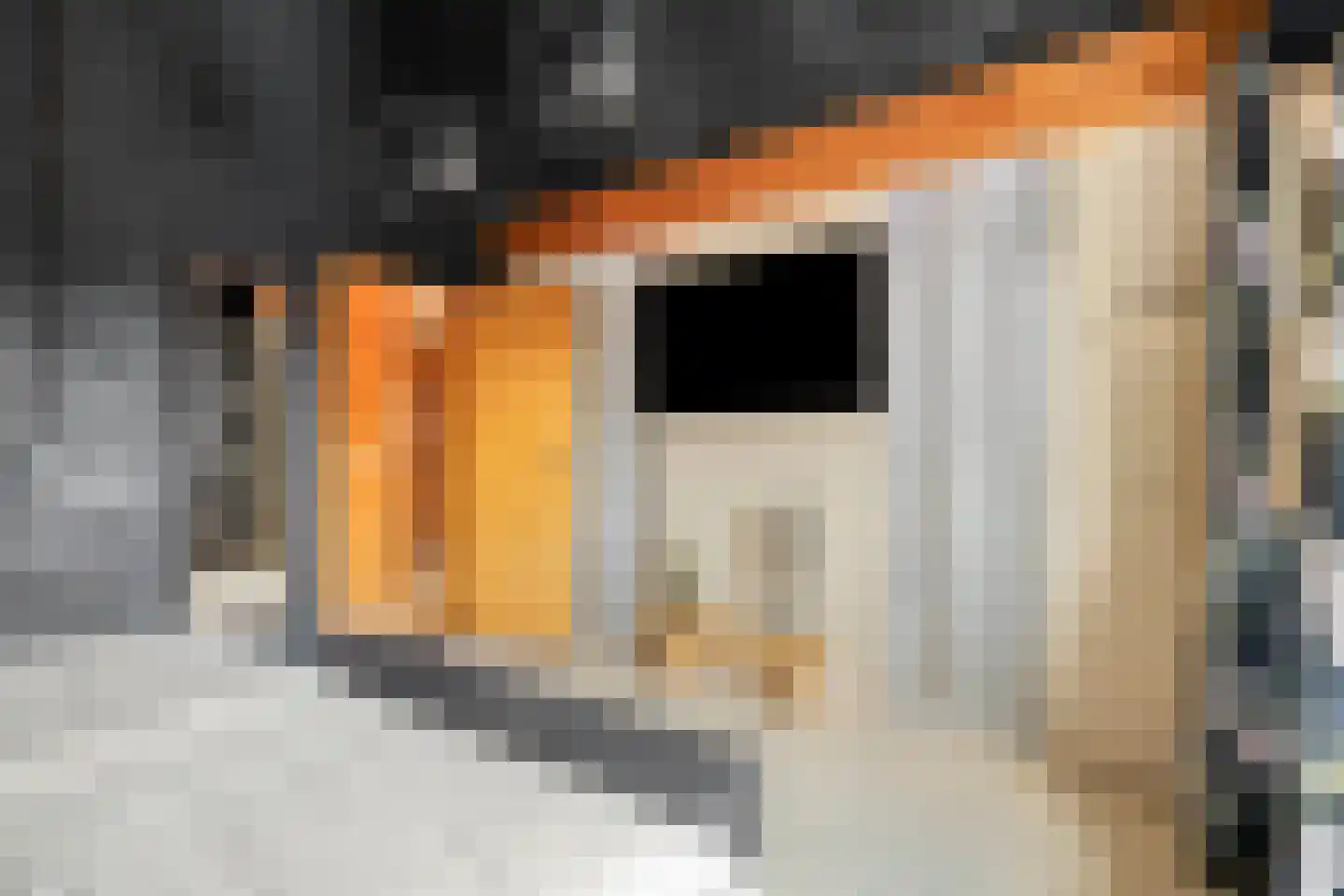 Julianalaan 25 Wernhout thumbnail 37