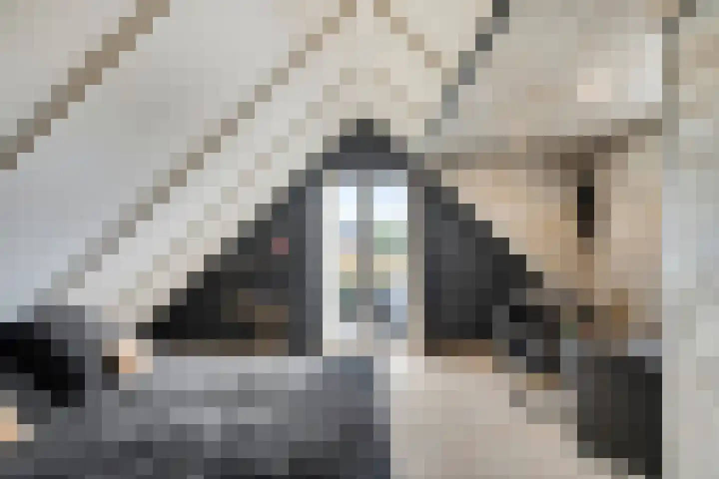 Julianalaan 25 Wernhout thumbnail 42