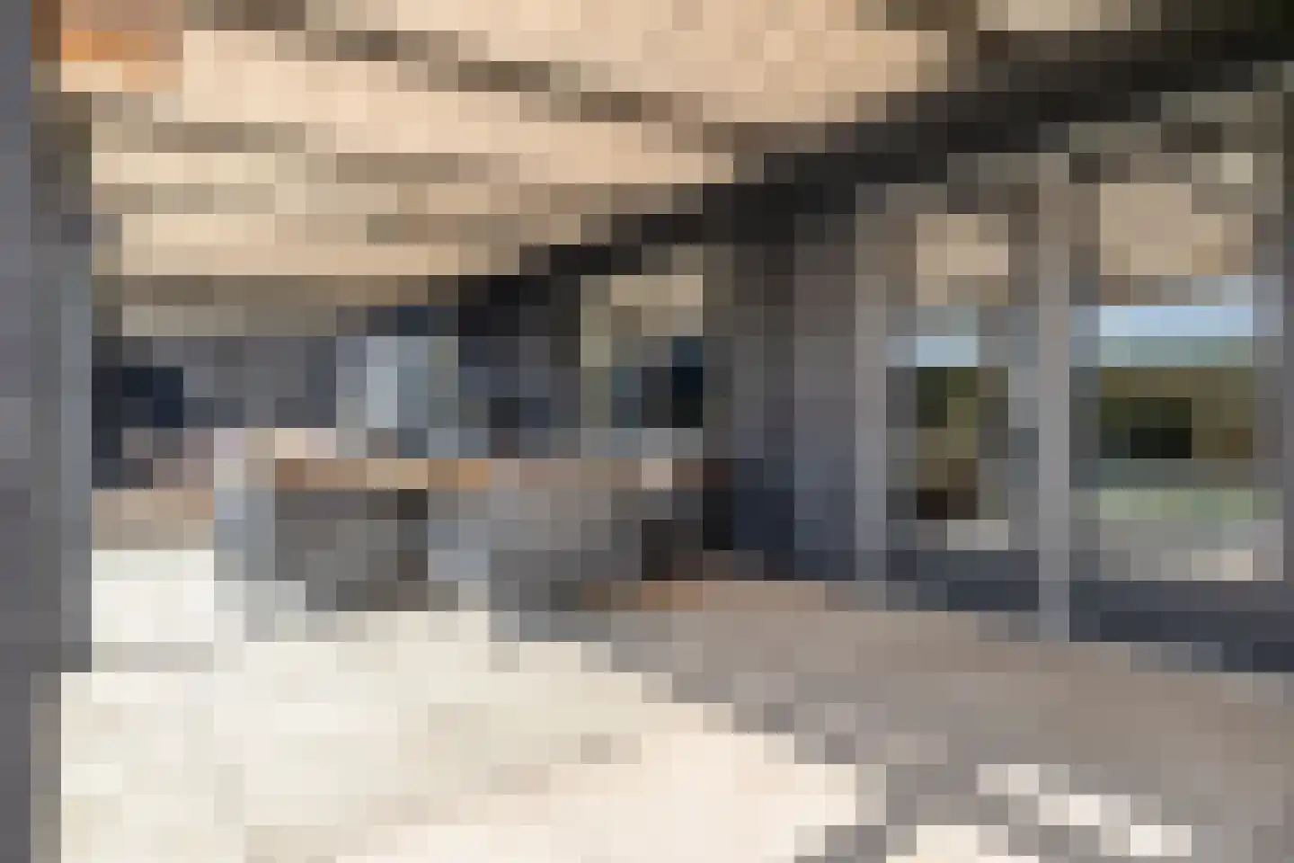 Julianalaan 25 Wernhout thumbnail 48