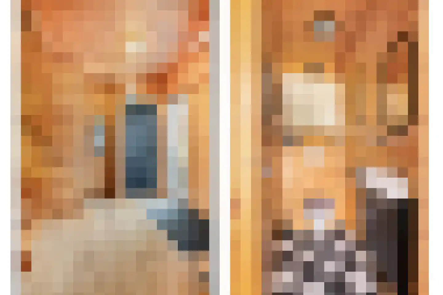Julianalaan 25 Wernhout thumbnail 9