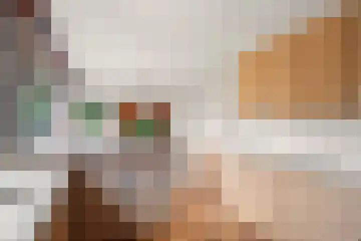 Julianalaan 25 Zegveld thumbnail 16