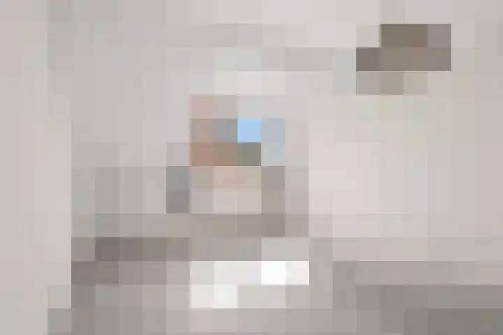 Julianalaan 25 Zegveld thumbnail 26