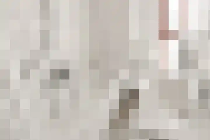Julianalaan 25 Zegveld thumbnail 31