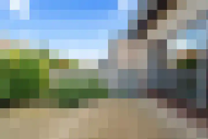 Julianalaan 25 Zegveld thumbnail 35