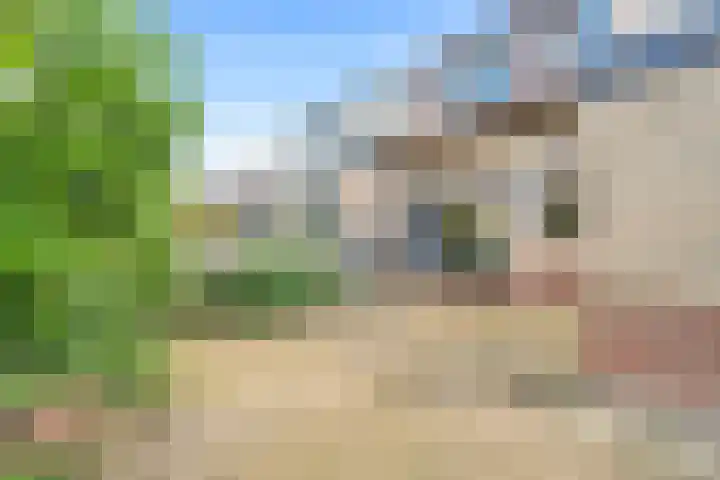 Julianalaan 25 Zegveld thumbnail 36