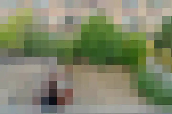 Julianalaan 25 Zegveld thumbnail 37