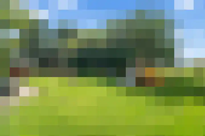 Julianalaan 25 Zegveld thumbnail 39