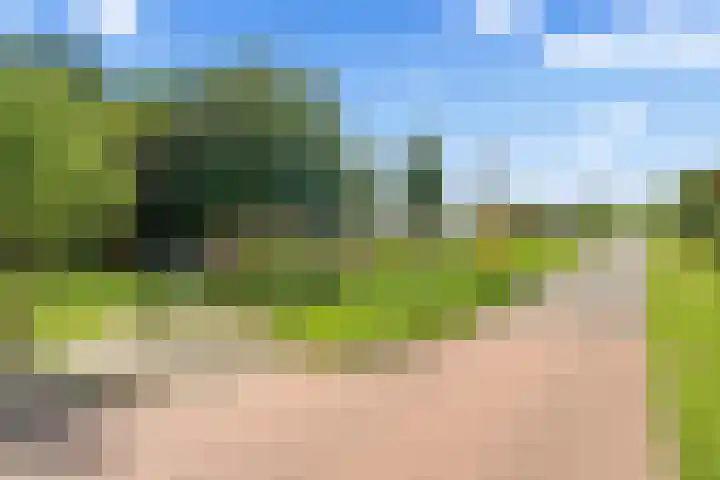 Julianalaan 25 Zegveld thumbnail 40