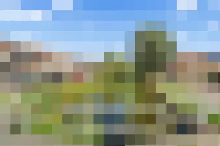 Julianalaan 25 Zegveld thumbnail 42