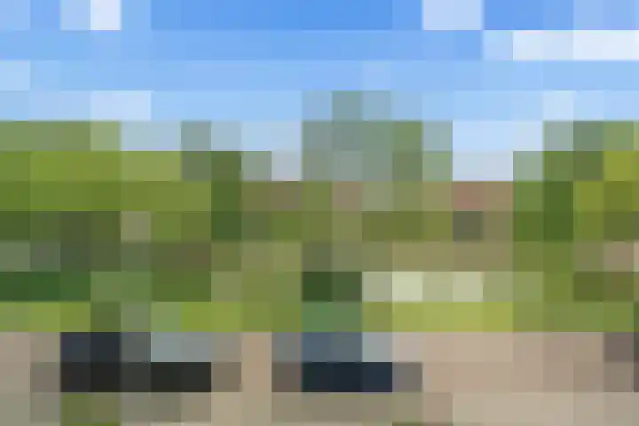 Julianalaan 25 Zegveld thumbnail 43