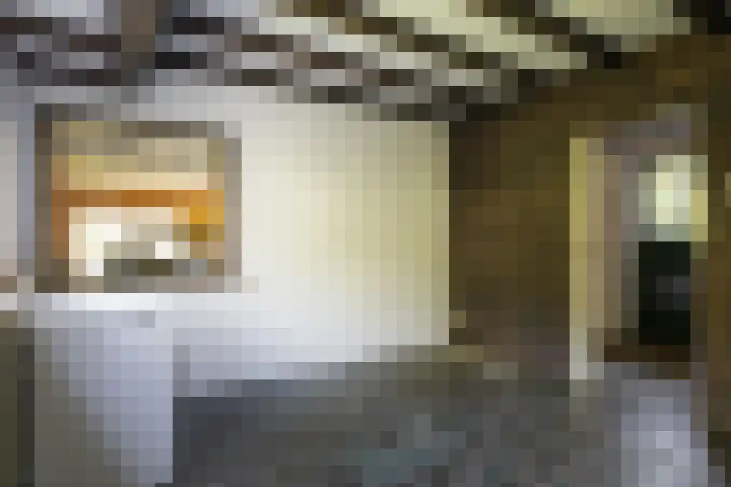 Julianalaan 257 Bilthoven thumbnail 12