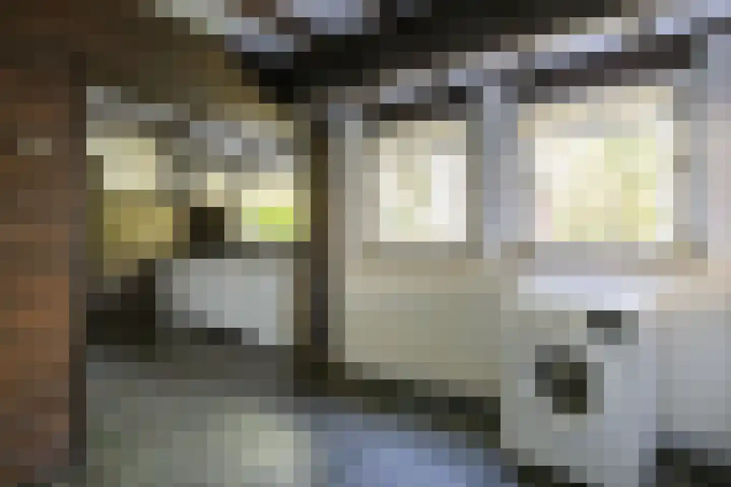 Julianalaan 257 Bilthoven thumbnail 13