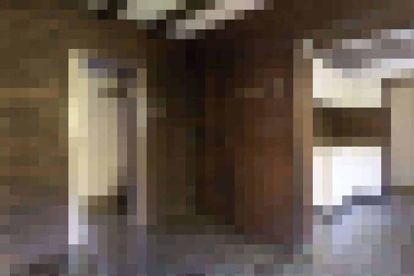 Julianalaan 257 Bilthoven thumbnail 15