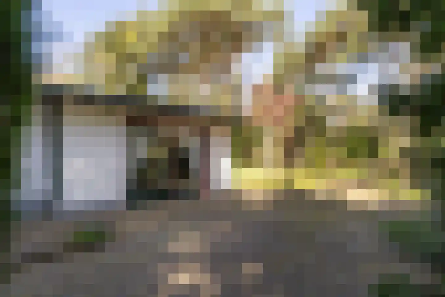 Julianalaan 257 Bilthoven thumbnail 34