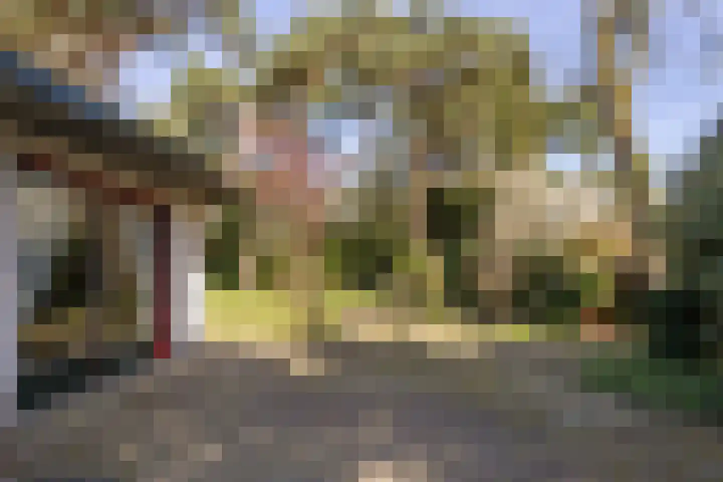 Julianalaan 257 Bilthoven thumbnail 35