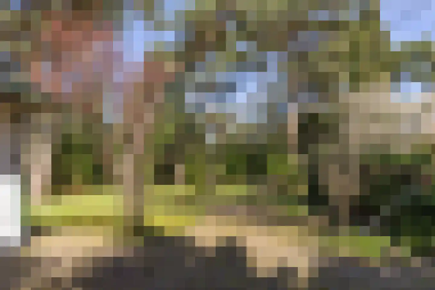 Julianalaan 257 Bilthoven thumbnail 36