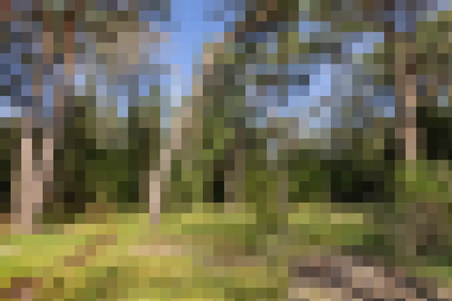 Julianalaan 257 Bilthoven thumbnail 37