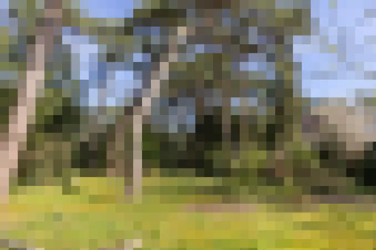 Julianalaan 257 Bilthoven thumbnail 38