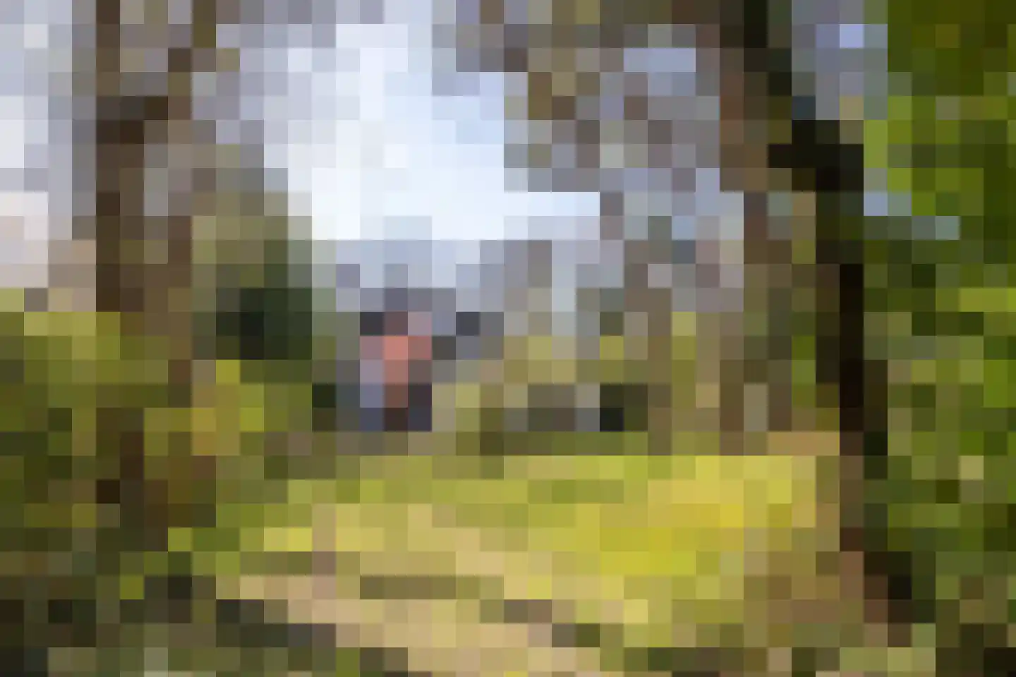 Julianalaan 257 Bilthoven thumbnail 39