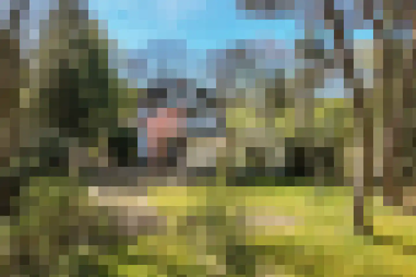 Julianalaan 257 Bilthoven thumbnail 40