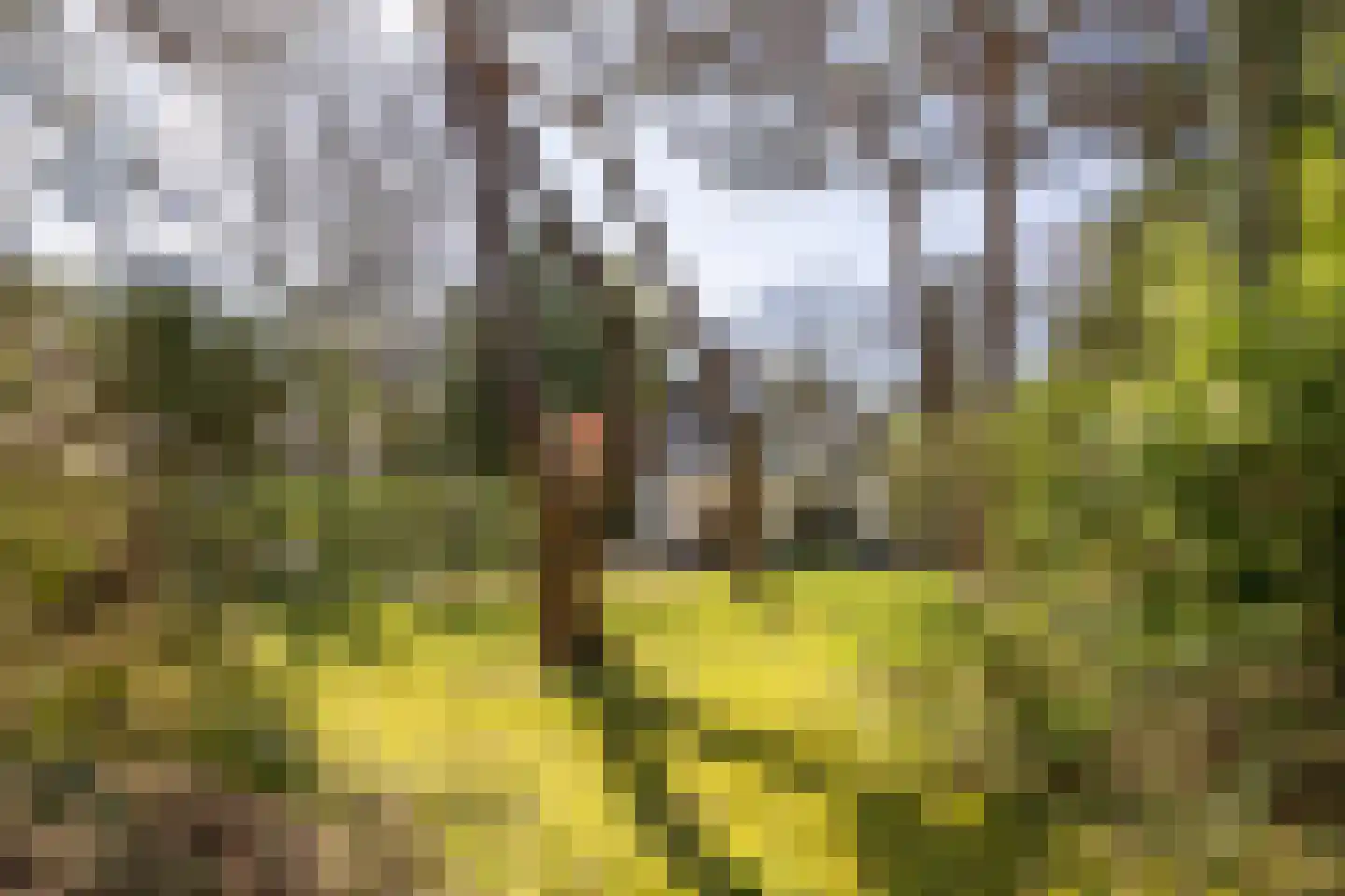 Julianalaan 257 Bilthoven thumbnail 41