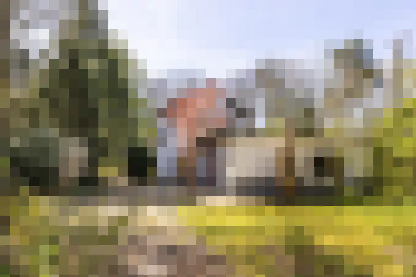 Julianalaan 257 Bilthoven thumbnail 42