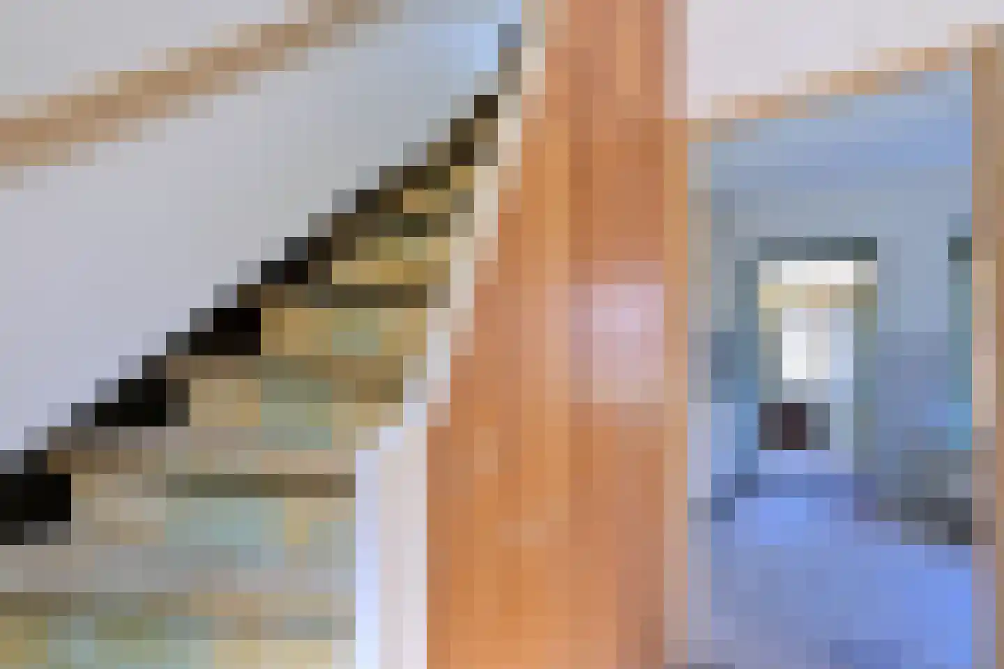 Julianalaan 26 Brummen thumbnail 13