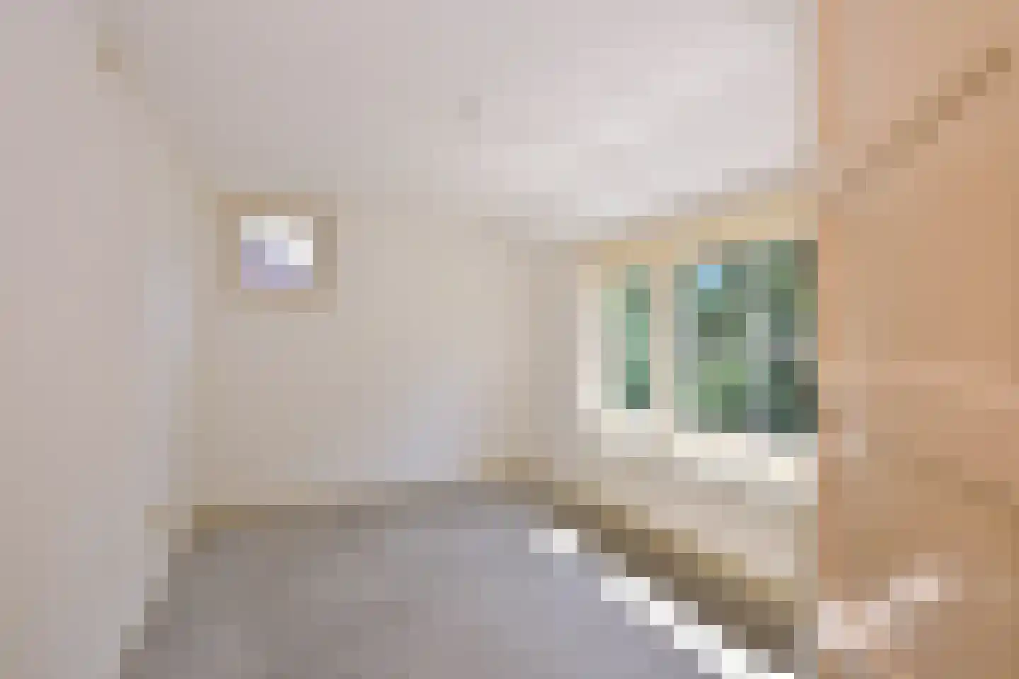 Julianalaan 26 Brummen thumbnail 19