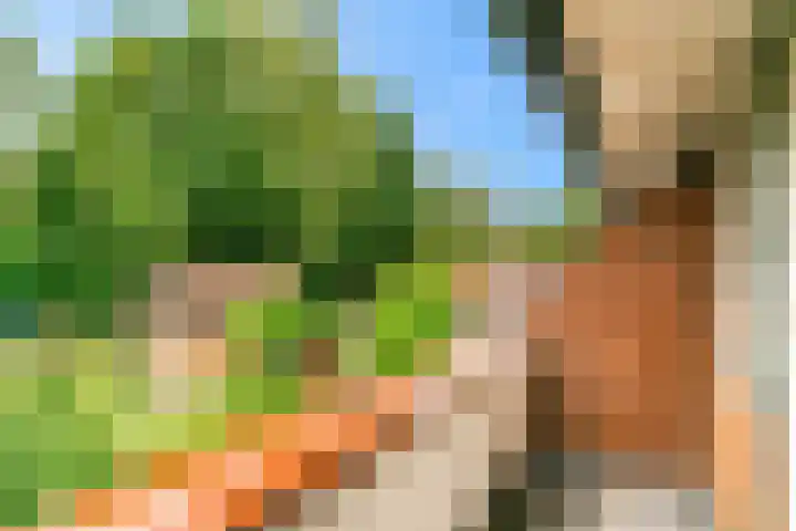 Julianalaan 260 Bilthoven thumbnail 30