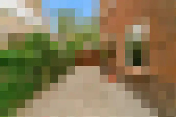 Julianalaan 260 Bilthoven thumbnail 31