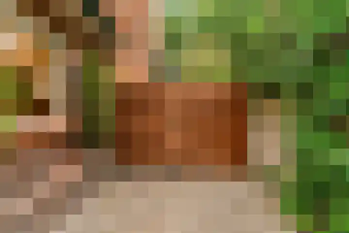 Julianalaan 260 Bilthoven thumbnail 32