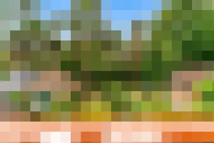 Julianalaan 260 Bilthoven thumbnail 33