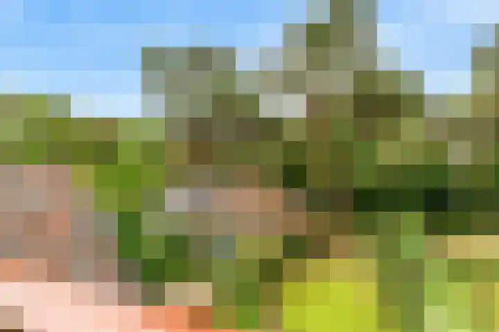 Julianalaan 260 Bilthoven thumbnail 34