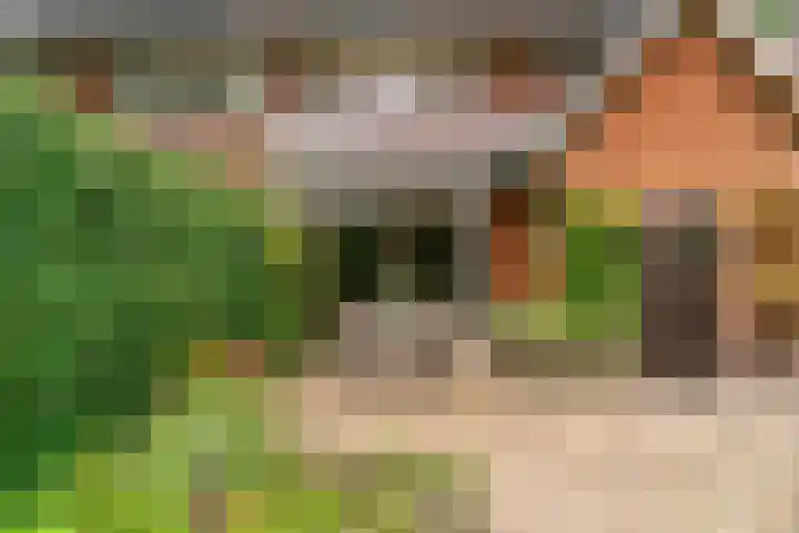 Julianalaan 260 Bilthoven thumbnail 35