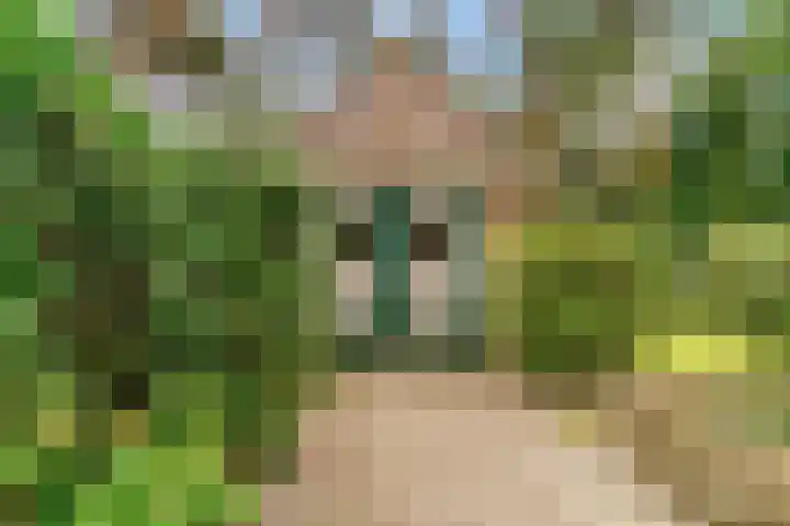 Julianalaan 260 Bilthoven thumbnail 37