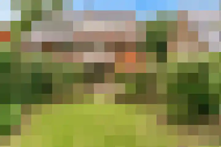 Julianalaan 260 Bilthoven thumbnail 38