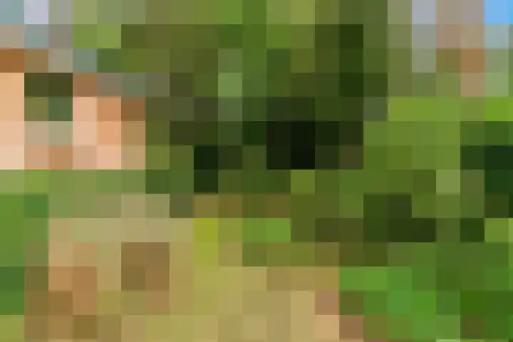 Julianalaan 260 Bilthoven thumbnail 39