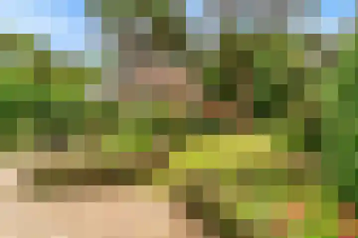 Julianalaan 260 Bilthoven thumbnail 40