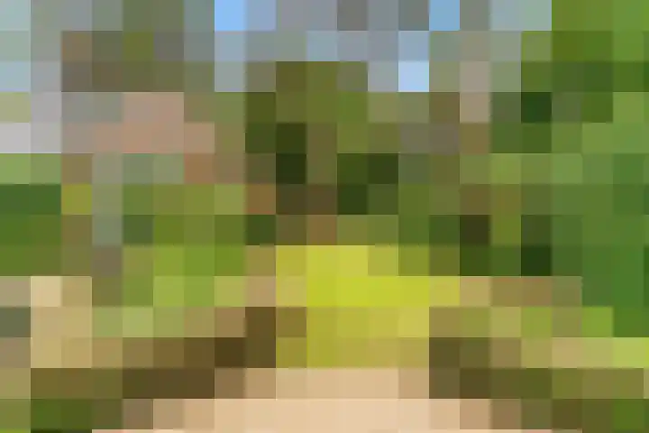 Julianalaan 260 Bilthoven thumbnail 41