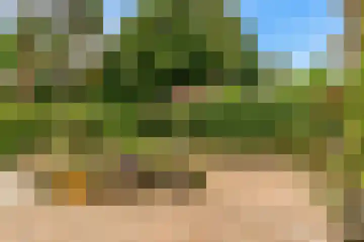 Julianalaan 260 Bilthoven thumbnail 42