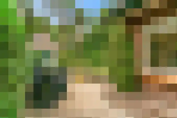 Julianalaan 260 Bilthoven thumbnail 43