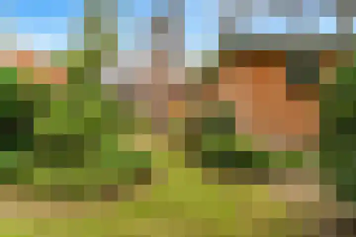 Julianalaan 260 Bilthoven thumbnail 45