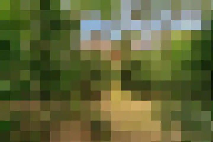 Julianalaan 260 Bilthoven thumbnail 47